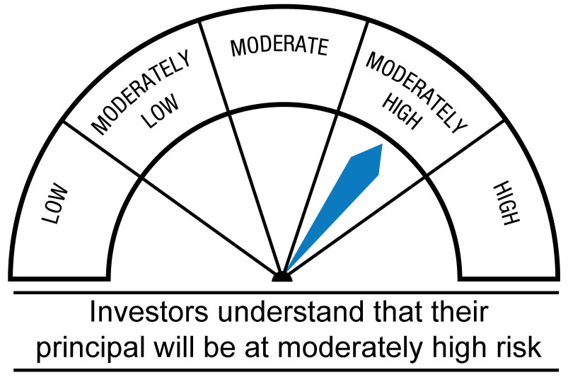 Riskometer