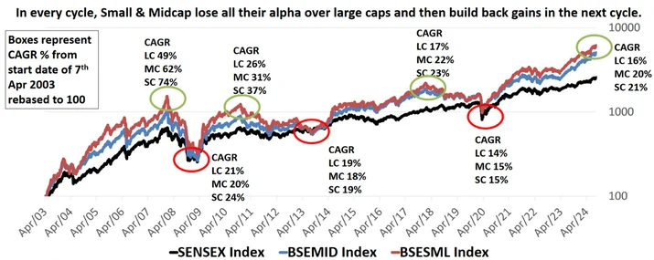 netra-sep-2024-small-caps