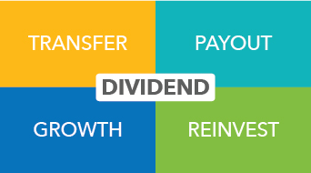 Understanding Dividend Options: Payout, Growth & Reinvestment