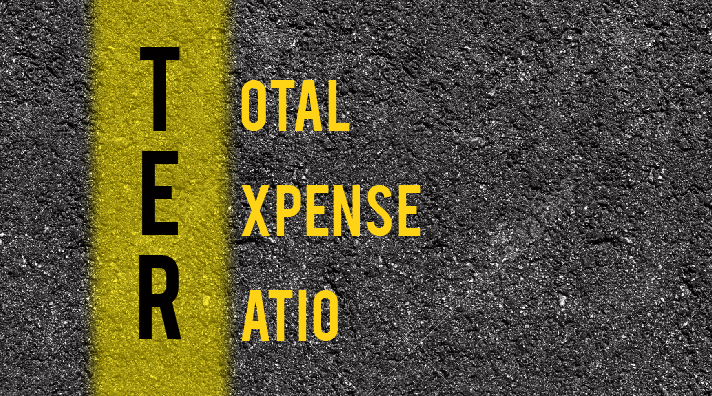 What is TER (Total Expense Ratio)? How to calculate TER?